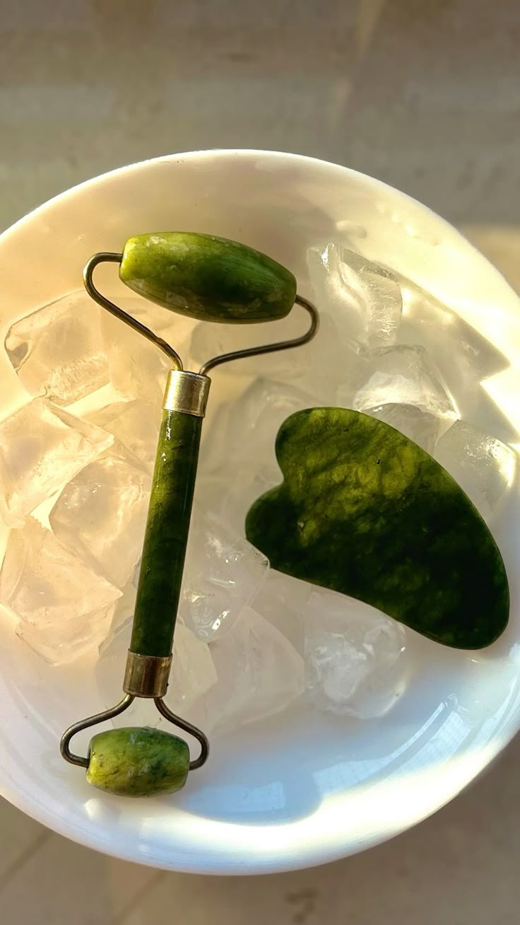 Ice Roller and Gua Sha Set