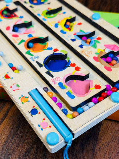 Wooden Magnetic Color Classification Maze
