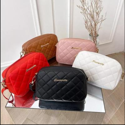 Trendy Mini Crossbody Bag for Women