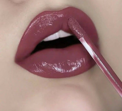 High Shine Glossy Lip Gloss
